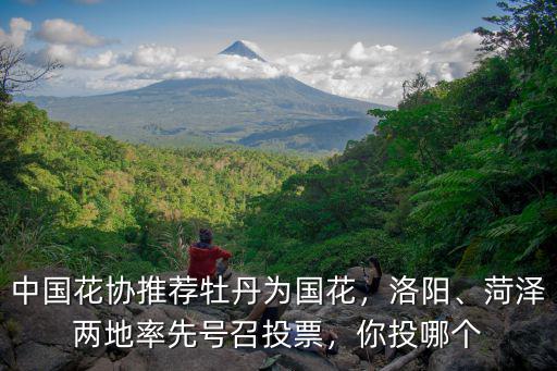 中國花協推薦牡丹為國花，洛陽、菏澤兩地率先號召投票，你投哪個