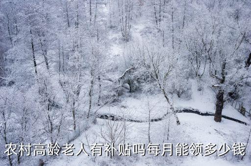 農(nóng)村60以上的老人每月能領(lǐng)多少補(bǔ)貼河南,每月能領(lǐng)多少錢