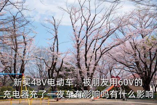 南陽哪里可以電動車充電器,電動車的充電器通用嗎
