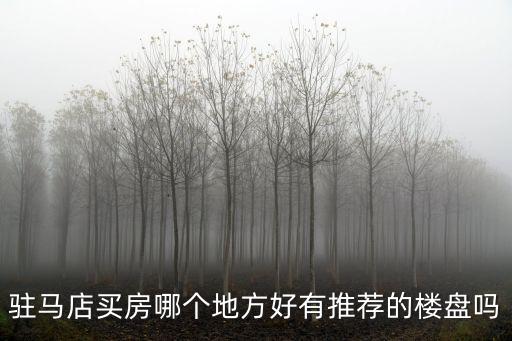 駐馬店買房哪個地方好有推薦的樓盤嗎