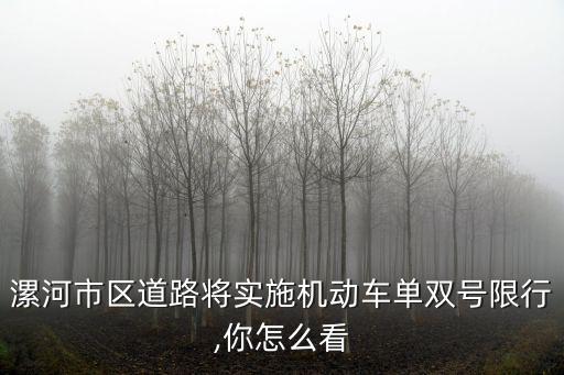 漯河市單雙號限號怎么通行,單雙號限號怎么通行