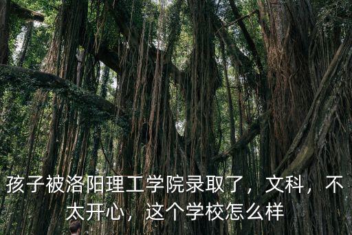 孩子被洛陽理工學院錄取了，文科，不太開心，這個學校怎么樣
