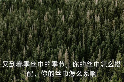 洛陽絲巾怎么搭,你的絲巾怎么搭配
