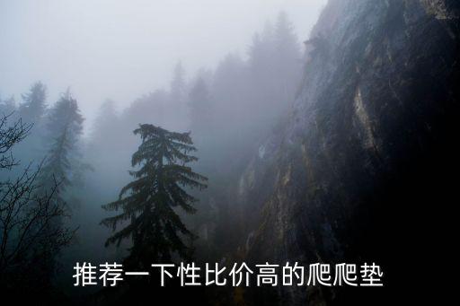 推薦一下性比價高的爬爬墊