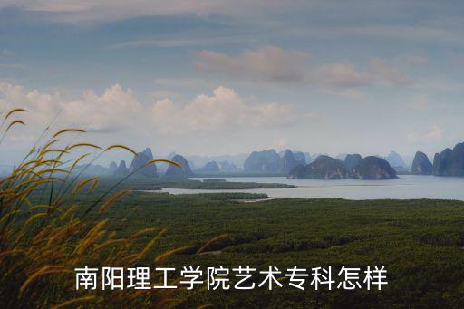 南陽理工學院藝術專科怎樣