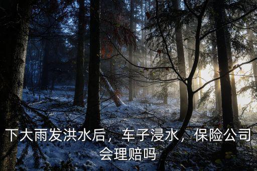 河南洪水保險公司要賠多少,下大雨發洪水后