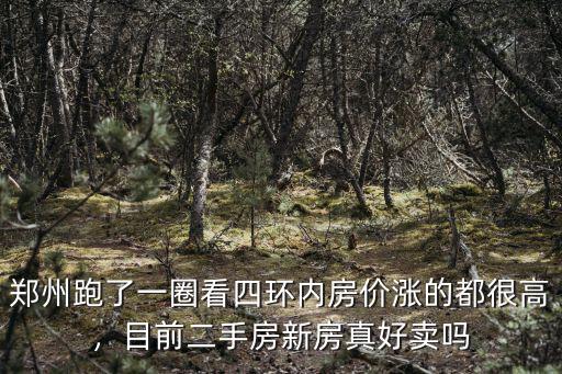 鄭州跑了一圈看四環(huán)內(nèi)房?jī)r(jià)漲的都很高，目前二手房新房真好賣嗎