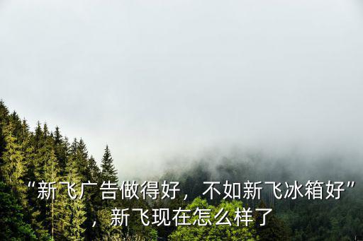 河南新飛電器狀況怎么樣,新飛電器為什么會破產(chǎn)