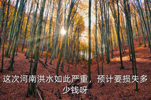 河南漲水店鋪進水損失怎么辦,這次河南洪水如此嚴重