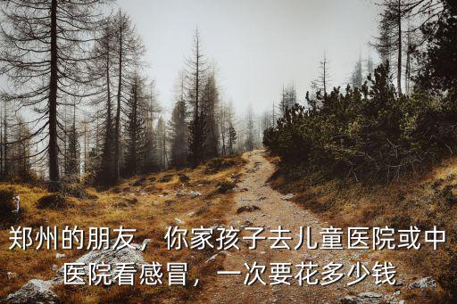 鄭州的朋友，你家孩子去兒童醫(yī)院或中醫(yī)院看感冒，一次要花多少錢