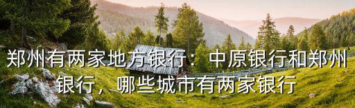 鄭州銀行有多少分支行,鄭州有兩家地方銀行