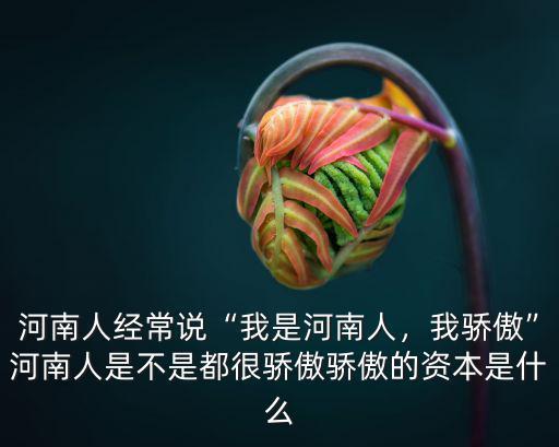 我是河南人我驕傲怎么了,河南人經(jīng)常說我是河南人