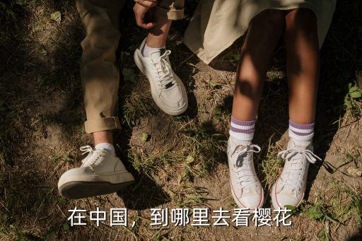 在中國，到哪里去看櫻花
