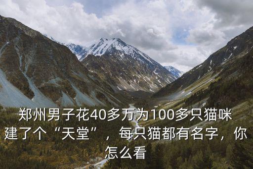 鄭州男子花40多萬為100多只貓咪建了個“天堂”，每只貓都有名字，你怎么看