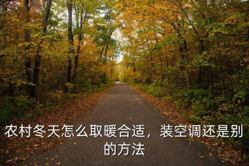 農村冬天怎么取暖合適，裝空調還是別的方法