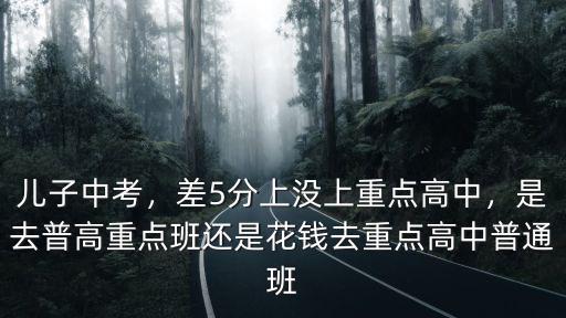 兒子中考，差5分上沒上重點(diǎn)高中，是去普高重點(diǎn)班還是花錢去重點(diǎn)高中普通班