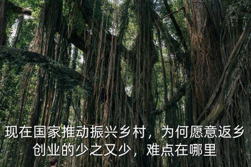 現(xiàn)在國家推動振興鄉(xiāng)村，為何愿意返鄉(xiāng)創(chuàng)業(yè)的少之又少，難點在哪里