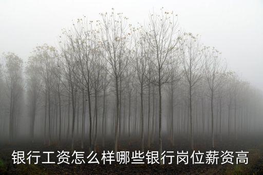 平安銀行鄭州分行工作待遇怎么樣,銀行工資怎么樣