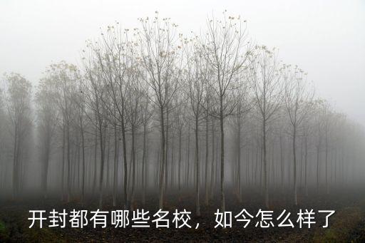 開封都有哪些名校，如今怎么樣了