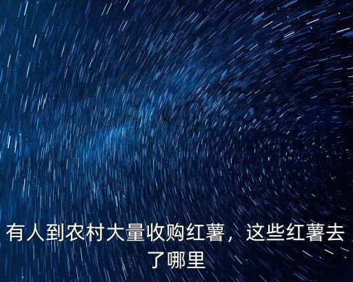 有人到農(nóng)村大量收購紅薯，這些紅薯去了哪里