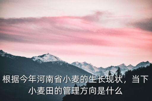 根據今年河南省小麥的生長現狀，當下小麥田的管理方向是什么
