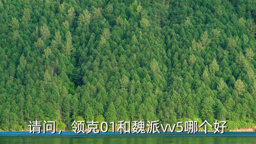 請問，領克01和魏派vv5哪個好