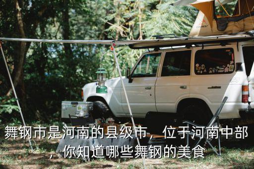 武國定河南舞鋼哪里的,舞鋼市是河南的縣級市