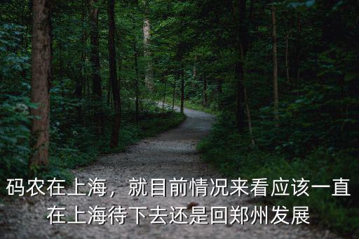 碼農在上海，就目前情況來看應該一直在上海待下去還是回鄭州發展