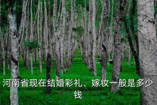 河南周口的彩禮現在一般是多少,現在鄭州彩禮一般多少
