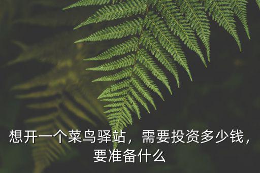 想開一個菜鳥驛站，需要投資多少錢，要準備什么