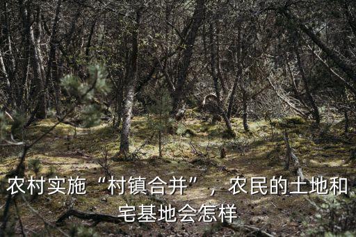農村實施“村鎮合并”，農民的土地和宅基地會怎樣