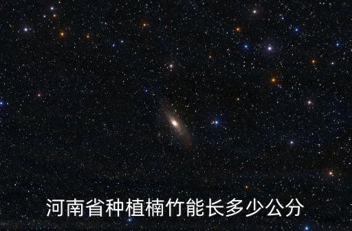 河南省種植楠竹能長多少公分