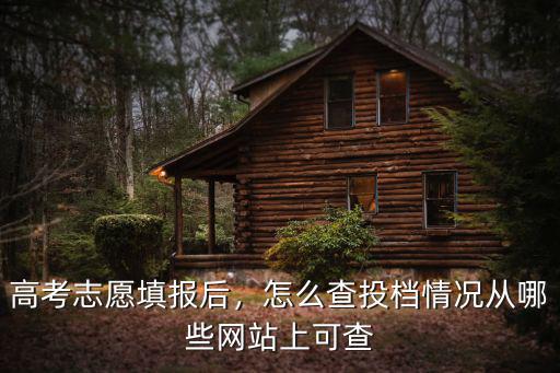 高考志愿填報后，怎么查投檔情況從哪些網站上可查