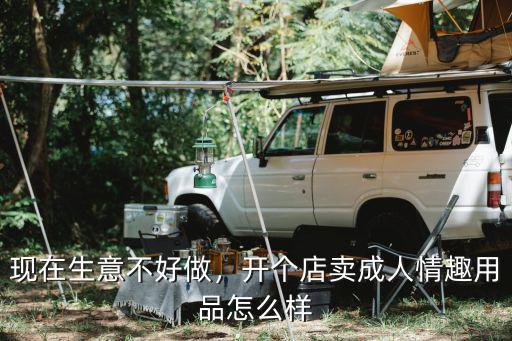 現在生意不好做，開個店賣成人情趣用品怎么樣