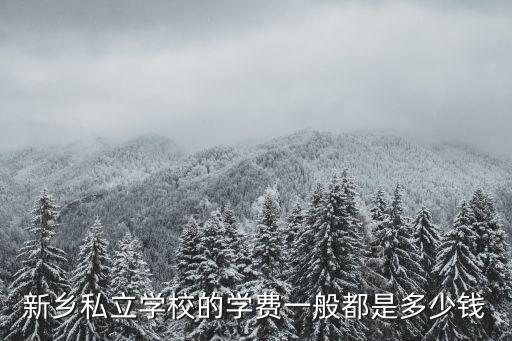 新鄉私立學校的學費一般都是多少錢