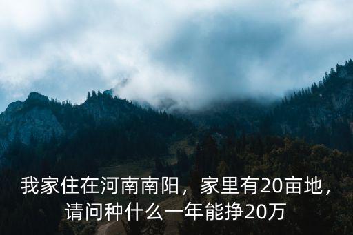 南陽哪里種植物最好,南陽哪里有賞花好去處