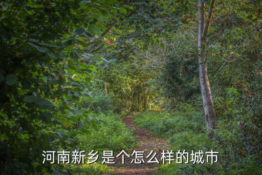 新鄉元達怎么樣,新鄉學院怎么樣