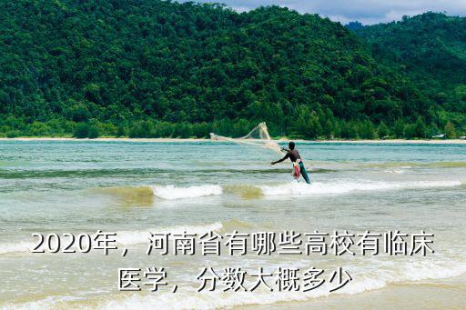 河南有多少考不上大學,河南學生考上好大學有多難