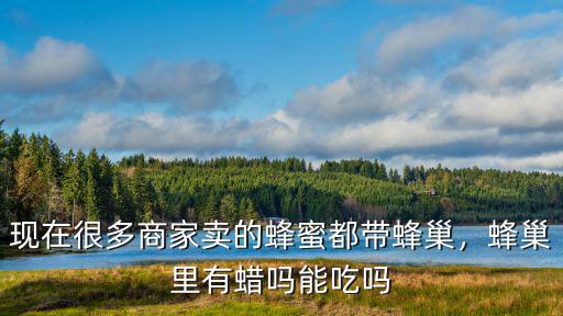 巢之安新鄉哪里有賣的,安有完卵出自哪里