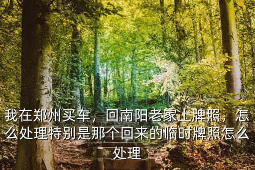 我在鄭州買車，回南陽老家上牌照，怎么處理特別是那個回來的臨時牌照怎么處理