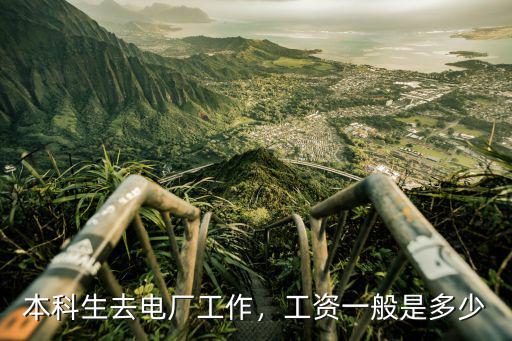 南陽電廠上班多少工資待遇,工資一般是多少