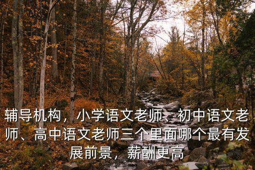 輔導機構，小學語文老師、初中語文老師、高中語文老師三個里面哪個最有發展前景，薪酬更高