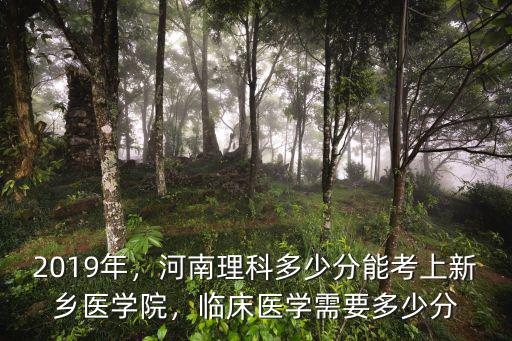 2019年，河南理科多少分能考上新鄉醫學院，臨床醫學需要多少分