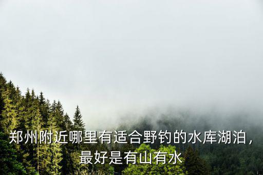 鄭州哪里有釣魚俱樂部,河南鄭州晚上哪里好玩