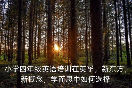 小學四年級英語培訓在英孚，新東方，新概念，學而思中如何選擇