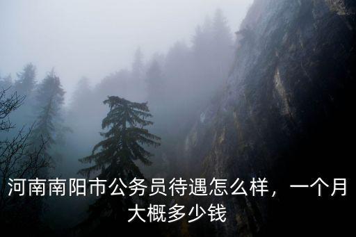 河南省報考公務(wù)員多少錢,一個月大概多少錢