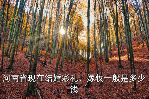 河南信陽(yáng)現(xiàn)在多少彩禮,河南省現(xiàn)在結(jié)婚彩禮