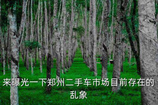 鄭州二手車哪里賣最靠譜,在鄭州哪一塊兒買比較靠譜