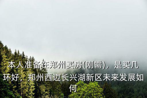 本人準備在鄭州買房(剛需)，是買幾環好，鄭州西邊長興湖新區未來發展如何