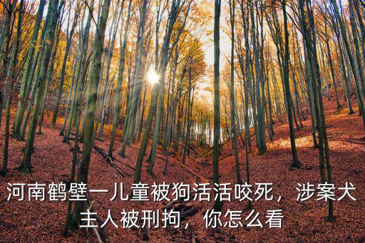 河南鶴壁一兒童被狗活活咬死，涉案犬主人被刑拘，你怎么看